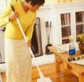 Housework and Repair Verbs