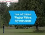 How to Forecast Weather without Any Instrument