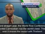 Cambodian, Thai rice voted best in the world