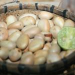 Bùi đức hà