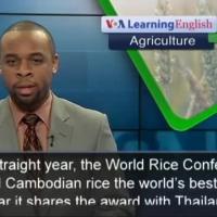Cambodian, Thai rice voted best in the world
