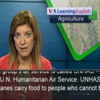 Conflicts Place Heavy Demands on World Food Program