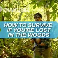 How to Survive If You're Lost in the Woods